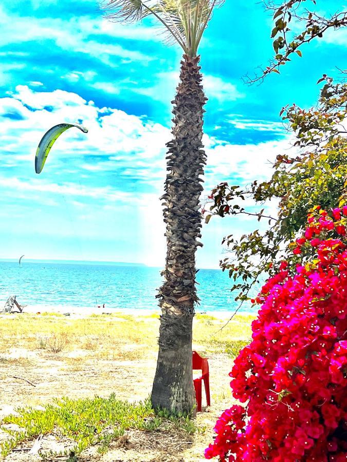 Windsurf Beach Front Торре-Гранде Экстерьер фото