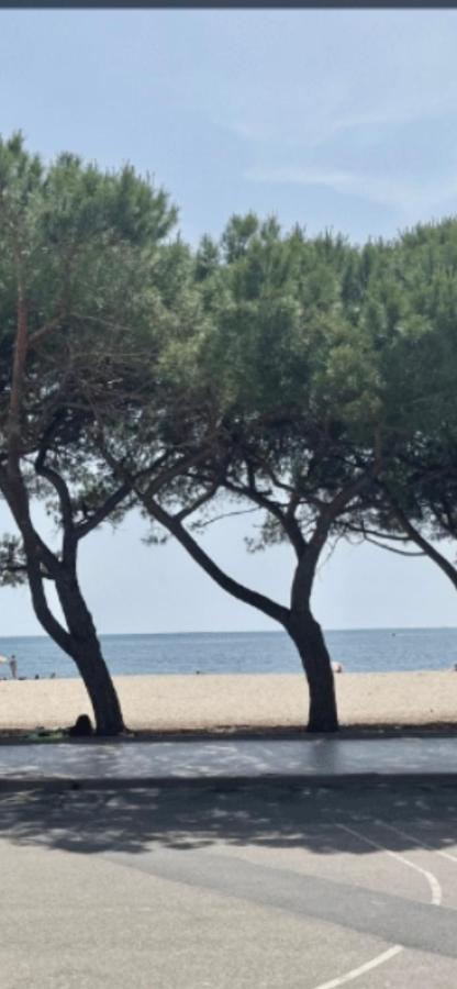 Windsurf Beach Front Торре-Гранде Экстерьер фото