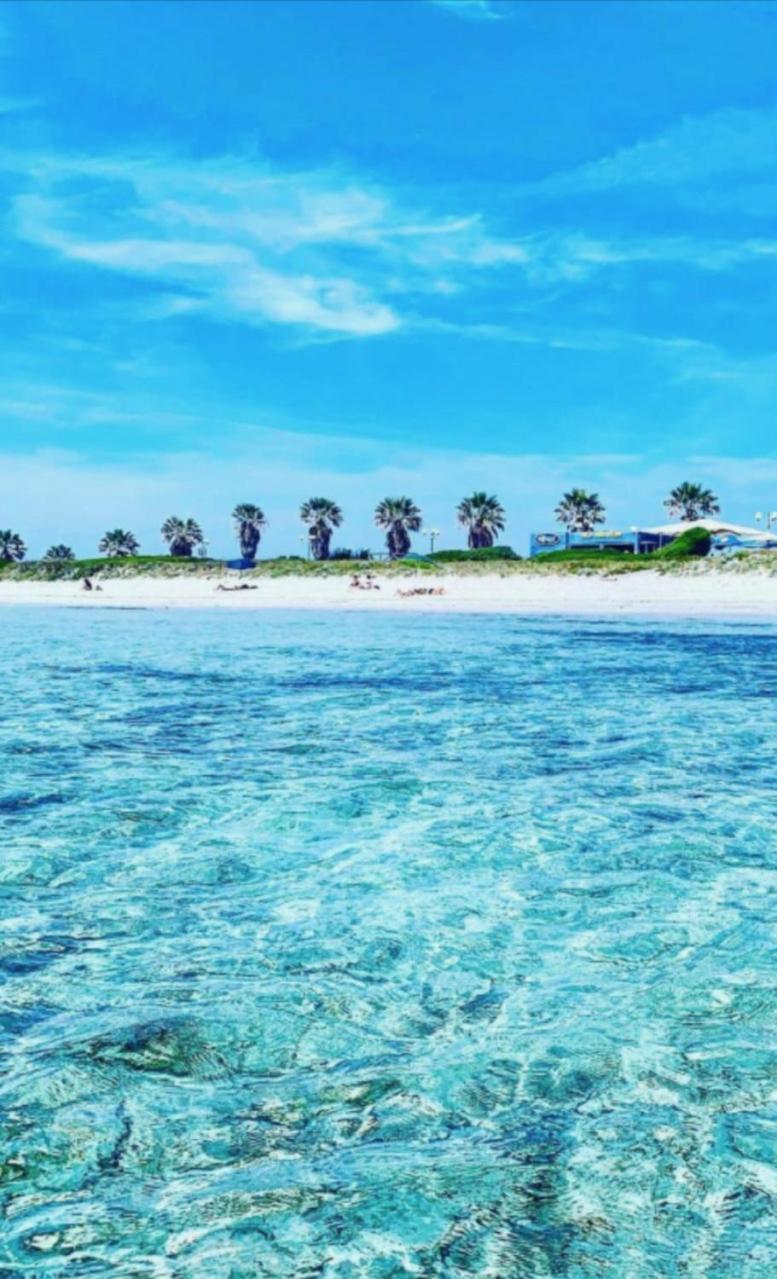 Windsurf Beach Front Торре-Гранде Экстерьер фото